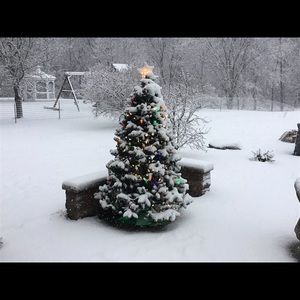 Meet your Posher, Priscilla